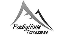 Logo-partner-torrazzese